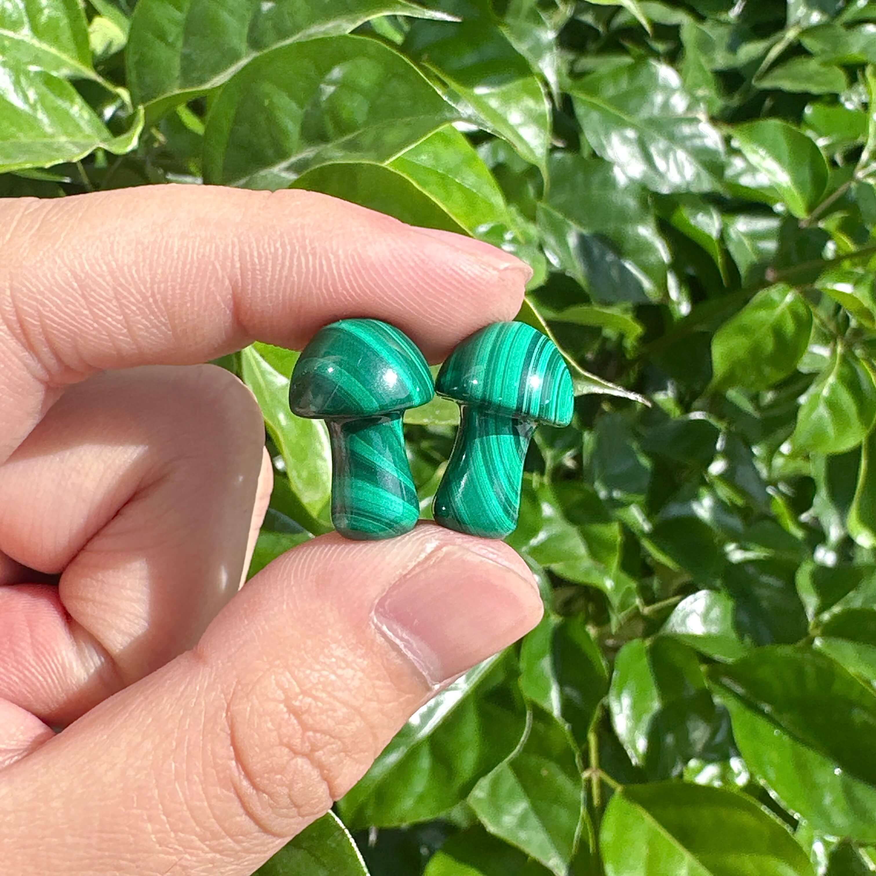 A beautifully polished Malachite Mini Mushroom, displaying the rich green hues and intricate patterns of the crystal.