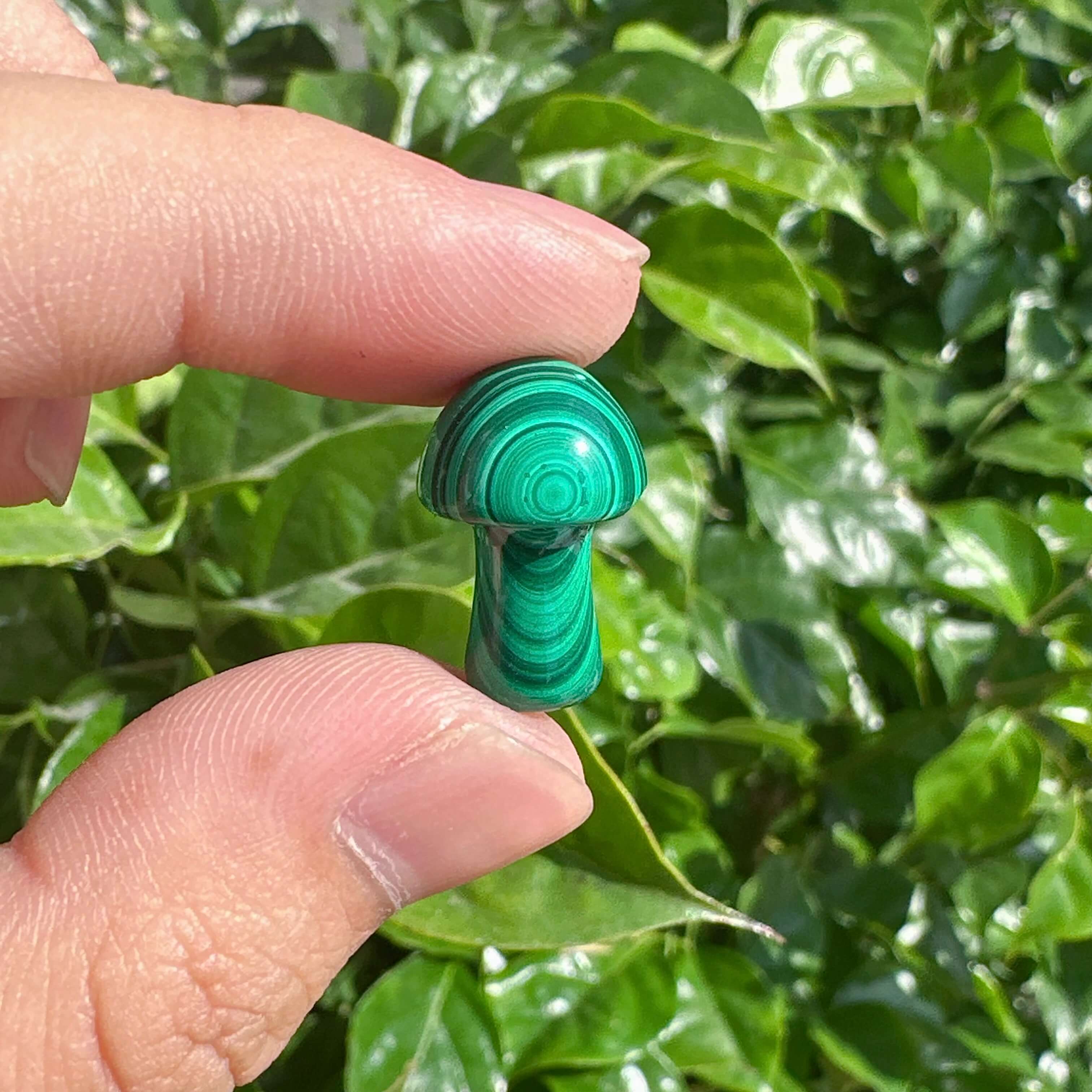 Group of Malachite Mini Mushroom carvings, showcasing the different sizes and natural variations of the stone's green color.