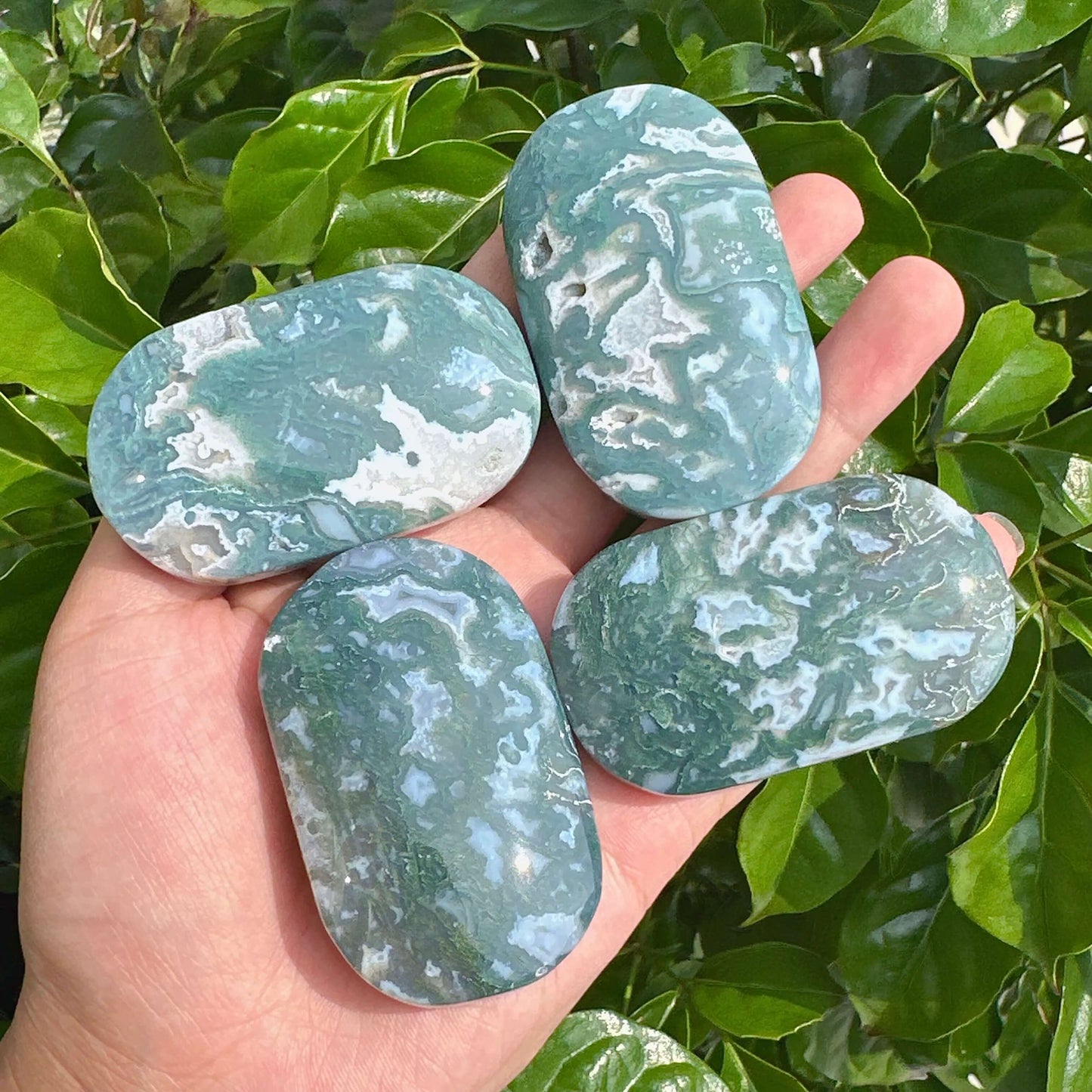 Smooth Moss Agate Palm Stone displaying vibrant green and white natural patterns.