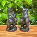 Front view of the Obsidian Capibara statue, showcasing intricate detailing and a smooth black obsidian finish.