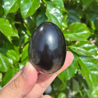 Beautifully carved obsidian egg showcasing rich dark hues, perfect for home decor or crystal enthusiasts.