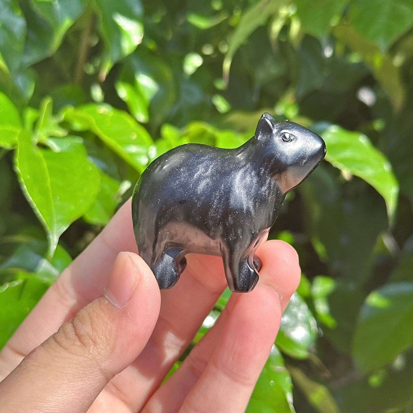 Obsidian Kapibala animal figurines arranged in a natural pose, highlighting the sleek black obsidian surface with delicate detailing for home decor and energy balancing.
