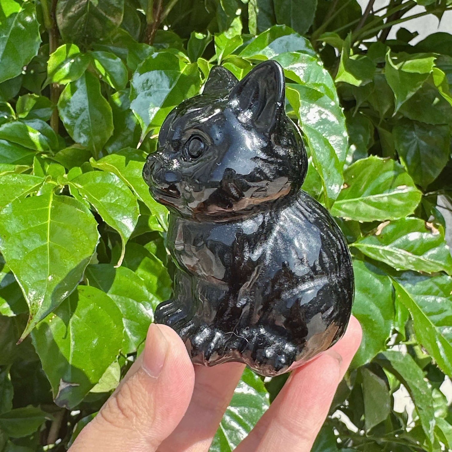 Detailed View of Obsidian Cat Carving