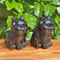 Obsidian Cat Carving - Close Up Pair