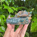 Ocean Jasper Dragon Head Carving with detailed textures and vibrant colors.