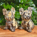 Handheld Picture Jasper French Bulldog carving with a polished finish.
