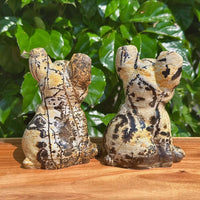 Close-up of two Picture Jasper French Bulldog carvings with natural color patterns.