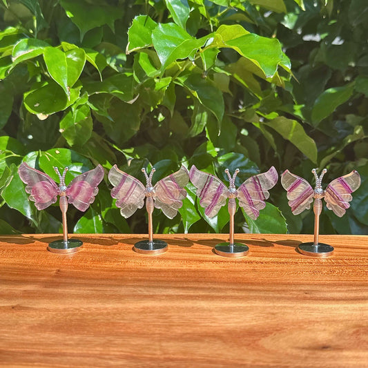 Stunning Rainbow Fluorite Butterfly crystal sculpture with finely detailed wings and natural hues of purple, green, and clear fluorite.