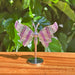 Rainbow Fluorite Butterfly figurine in a clear stand, capturing the vivid colors and beauty of the natural crystal for decoration and energy enhancement.
