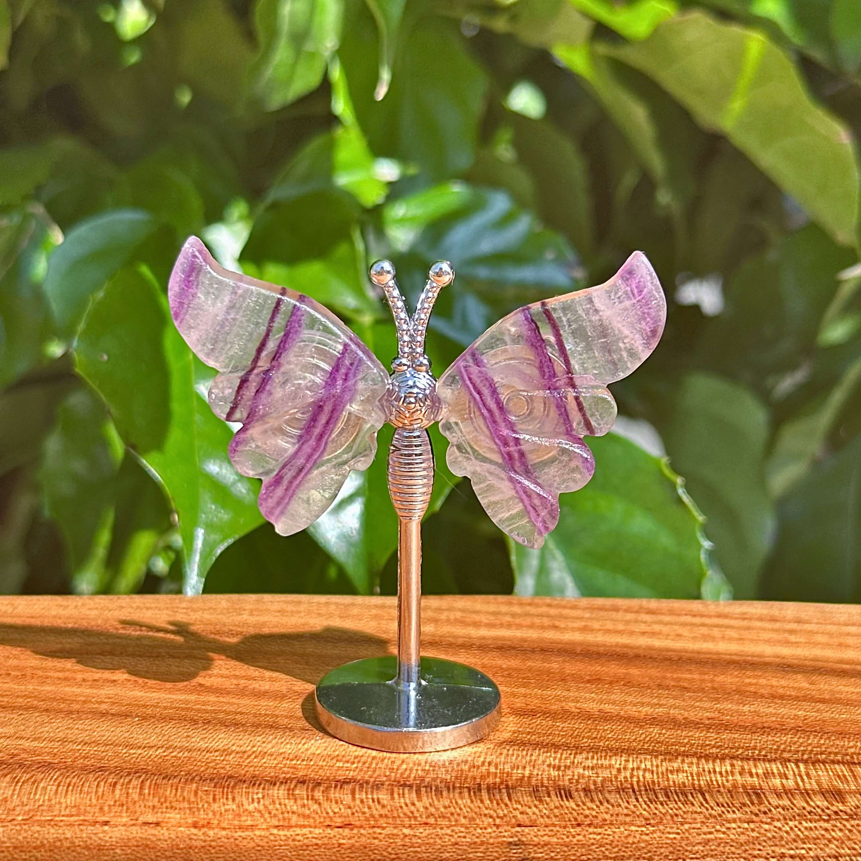 Rainbow Fluorite Butterfly figurine in a clear stand, capturing the vivid colors and beauty of the natural crystal for decoration and energy enhancement.