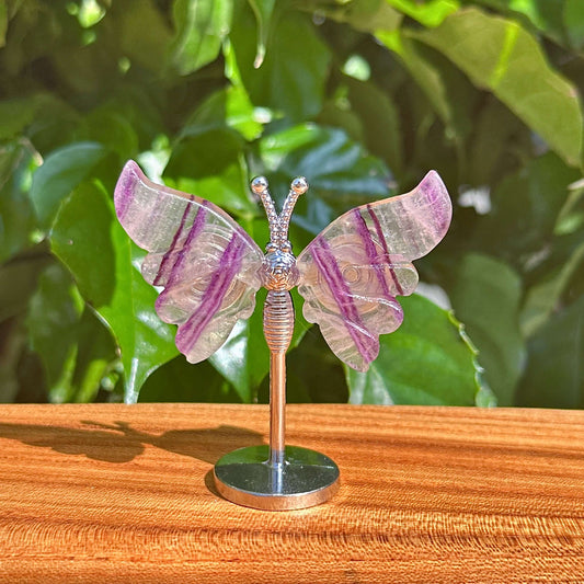 Rainbow Fluorite Butterfly figurine in a clear stand, capturing the vivid colors and beauty of the natural crystal for decoration and energy enhancement.