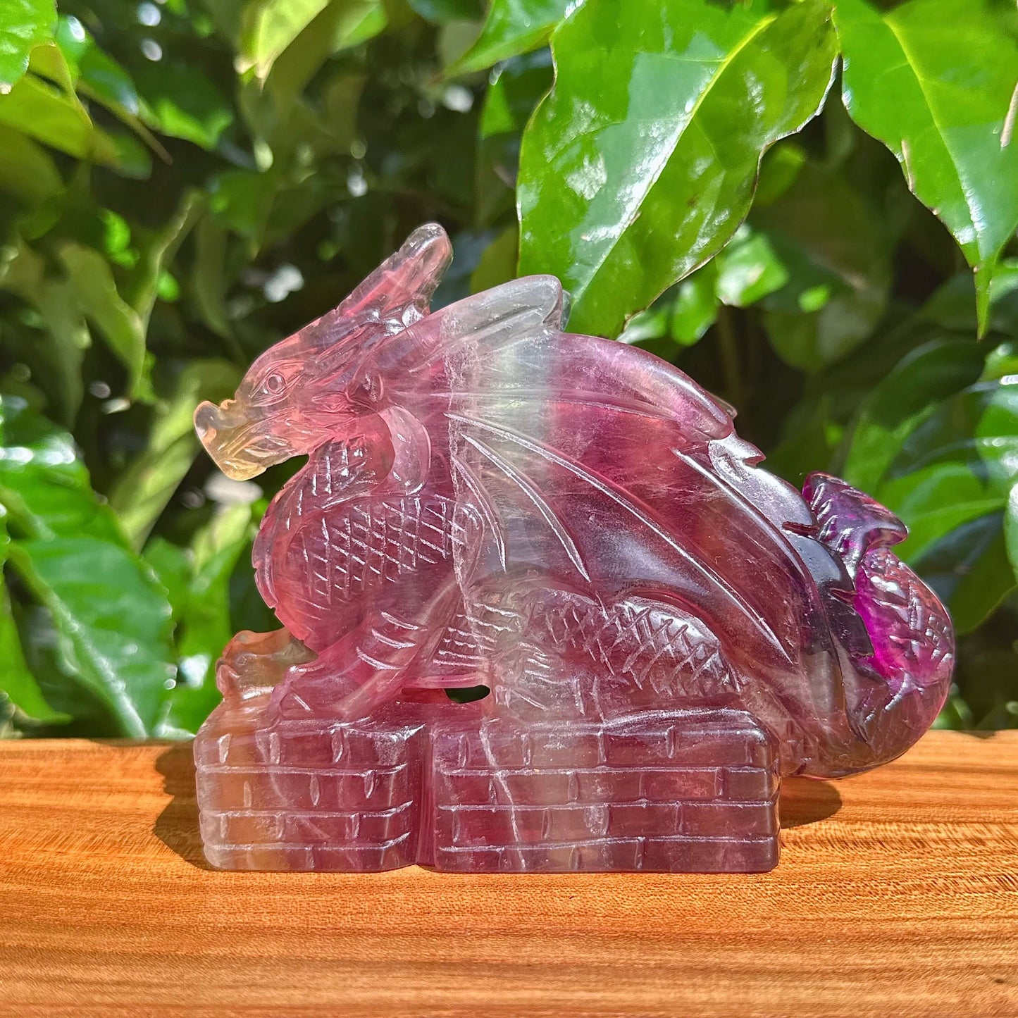 Rainbow Fluorite Dragon Carving displaying the sculpture's dynamic pose and gradient coloring.