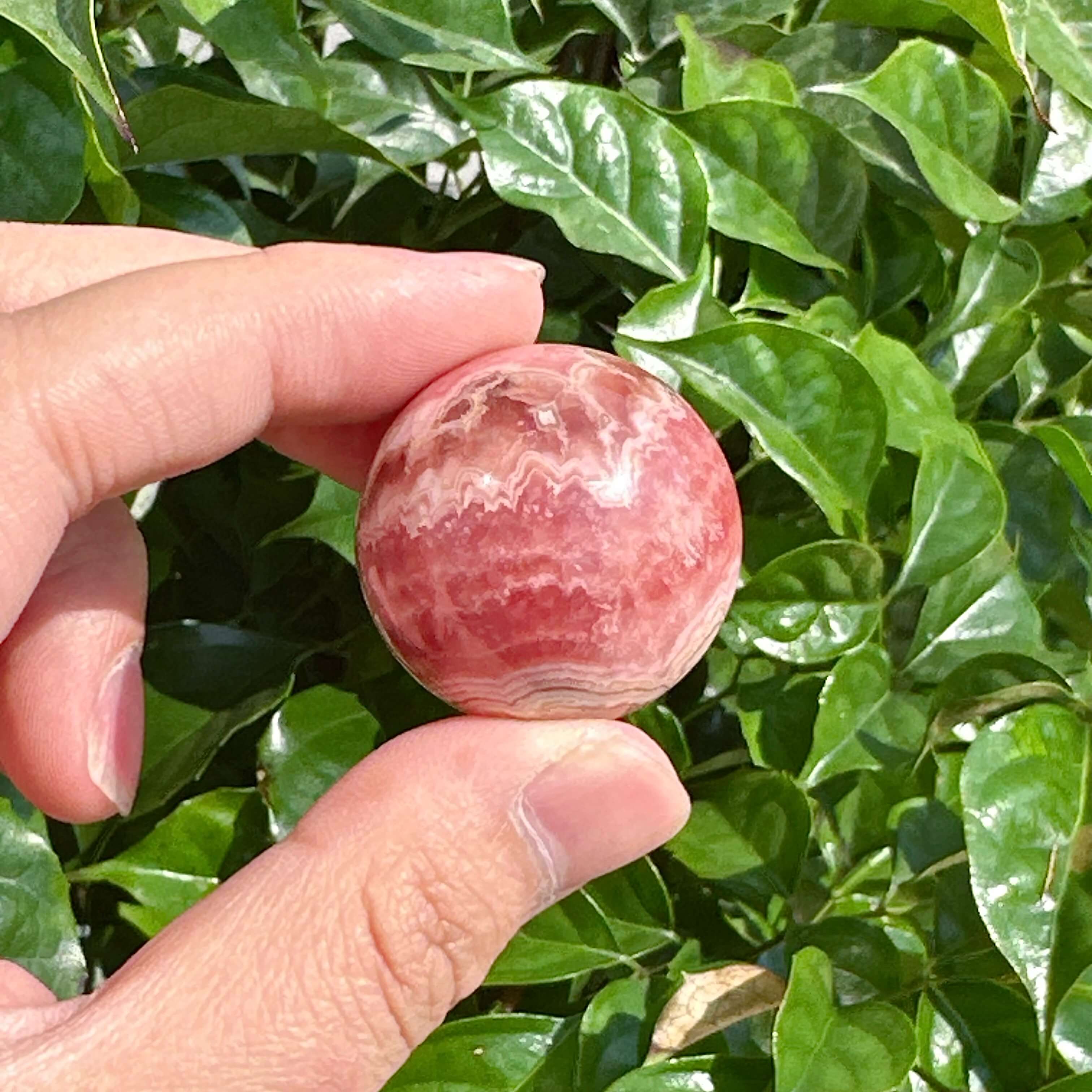 Pair of Rhodochrosite Spheres showcasing natural swirling colors