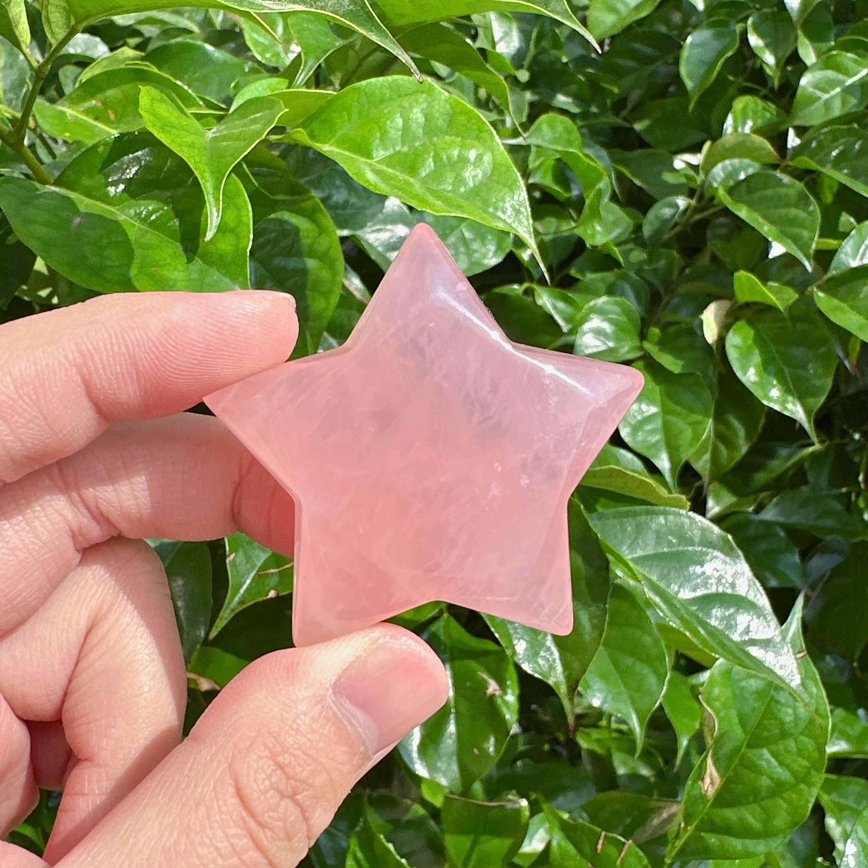 High-Quality Rose Quartz Star for Love, Compassion, and Healing