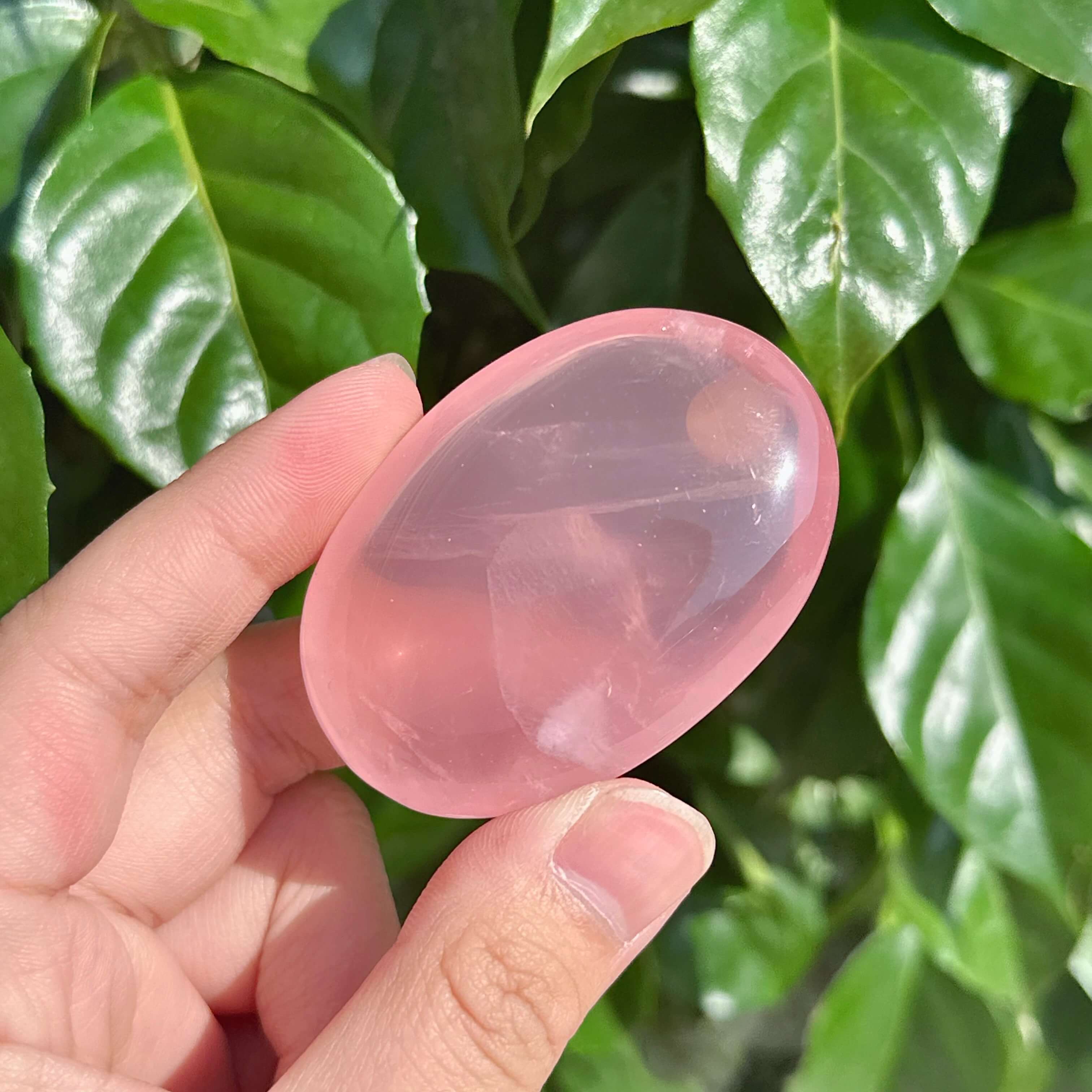 A group of Rose Quartz Palm crystals, each with soft pink color, known for promoting love, healing, and tranquility.