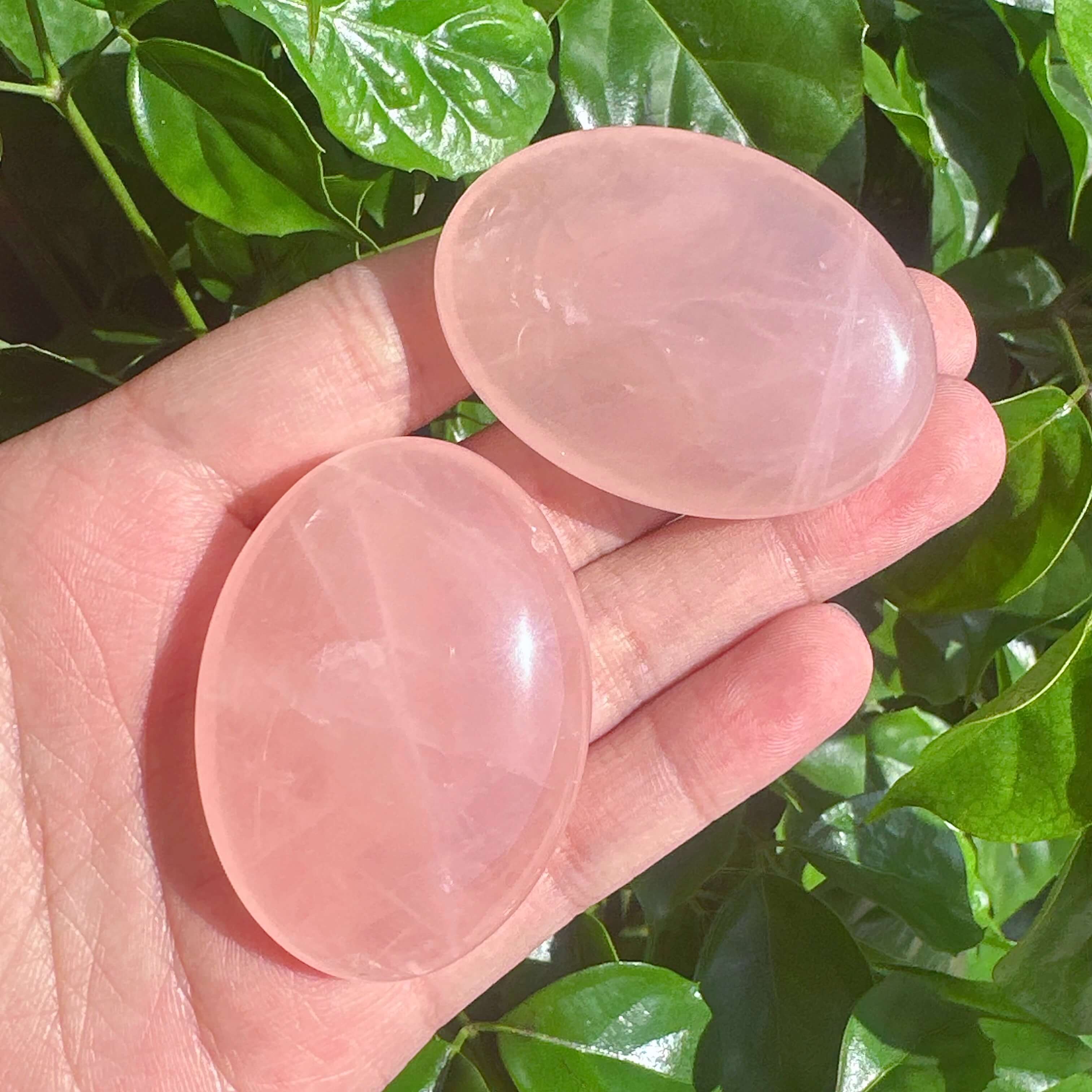 Group of Rose Quartz Palms displaying their calming pink hues and smooth texture, ideal for energy balancing.
