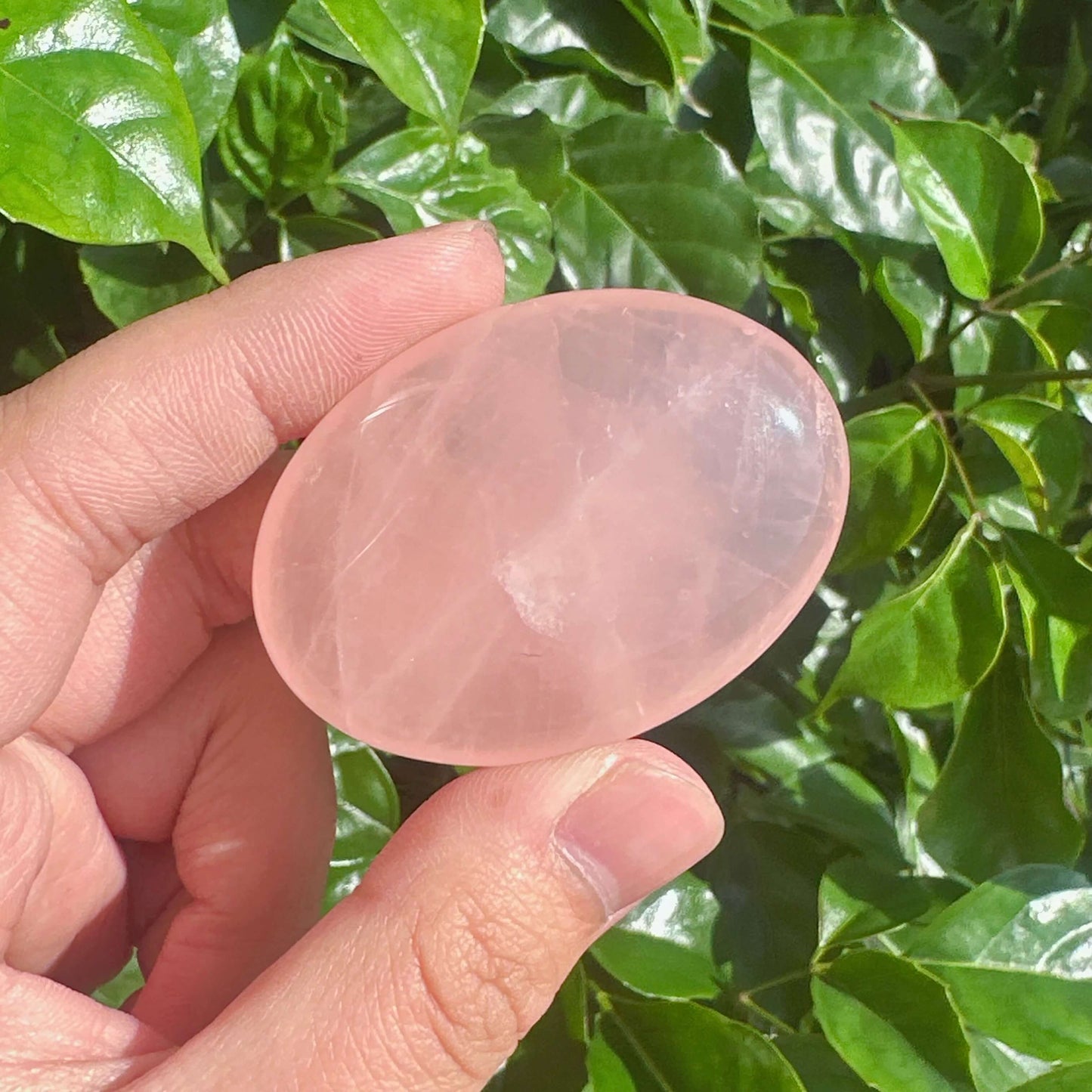 Hand holding a Rose Quartz Palm, capturing the smoothness and vibrant energy of the crystal.