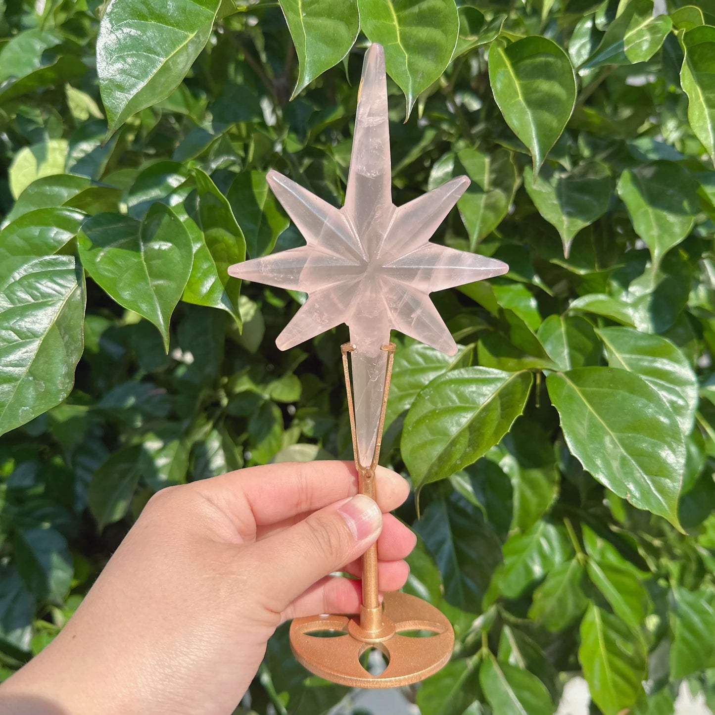 Close-up view of Rose Quartz Polaris star-shaped crystal highlighting its intricate details and calming color.