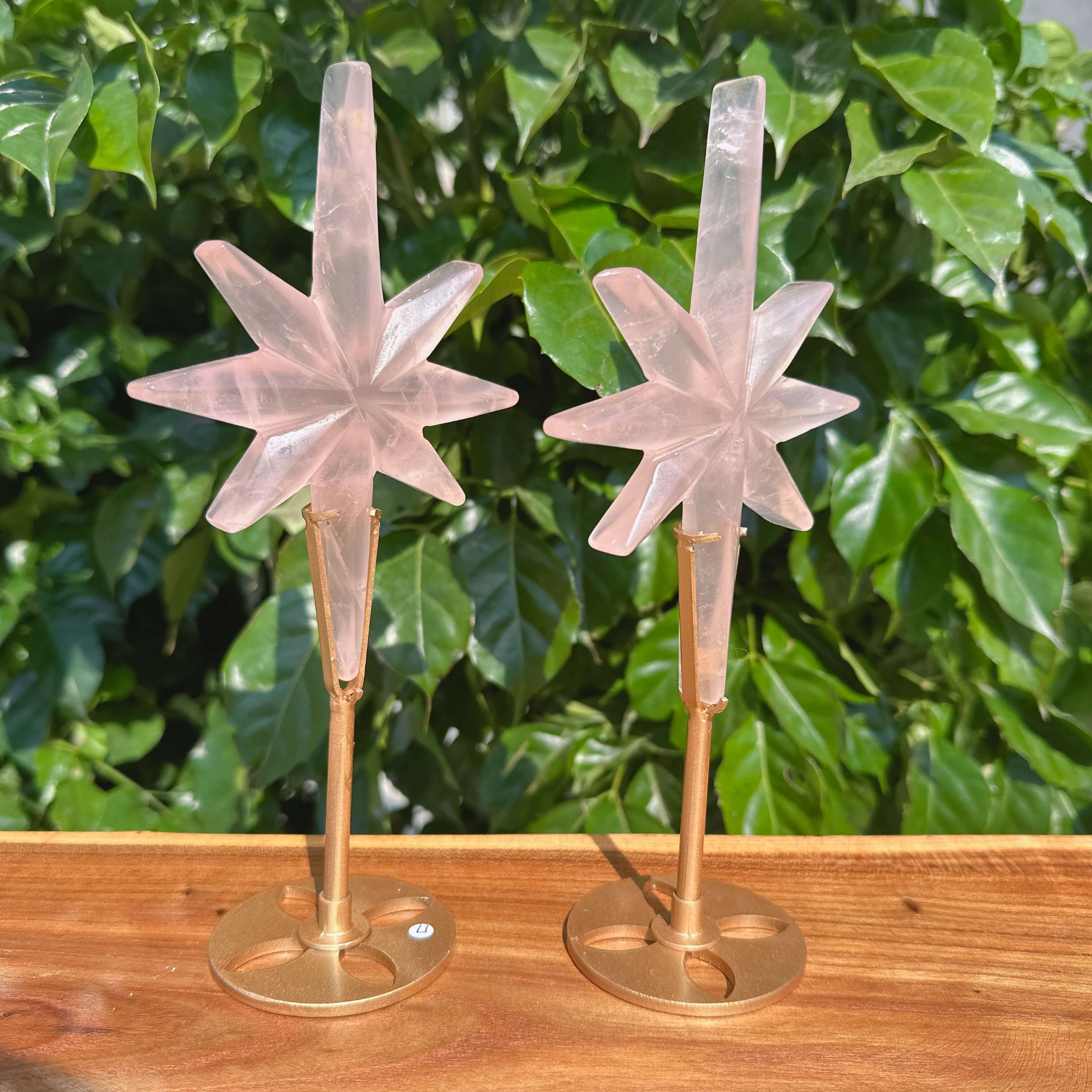 Set of Rose Quartz Polaris star crystals, showcasing their unique shape and soothing pink tones.