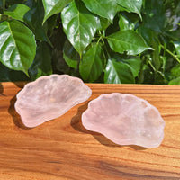 Side view of Rose Quartz Shell Bowl, highlighting the intricate shell shape and natural texture.