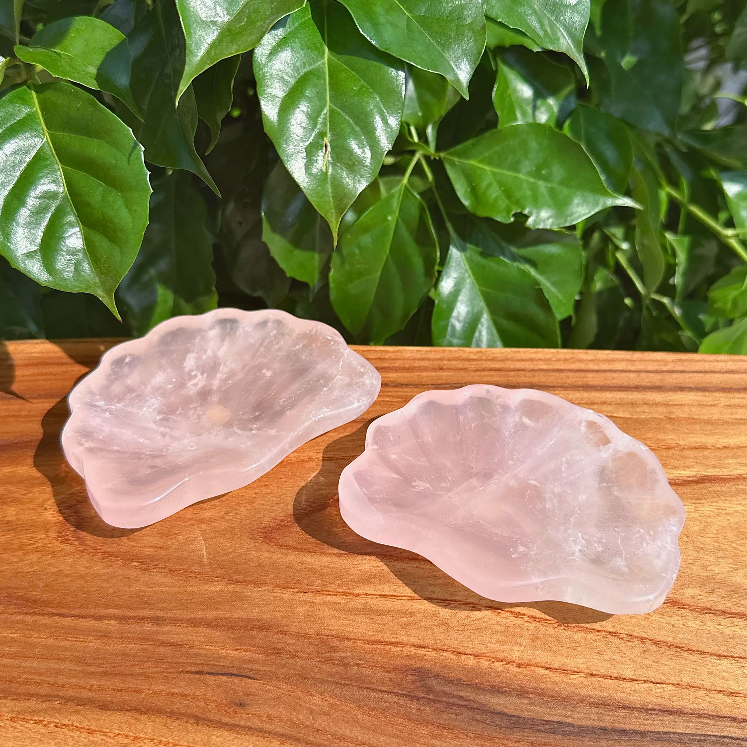Side view of Rose Quartz Shell Bowl, highlighting the intricate shell shape and natural texture.