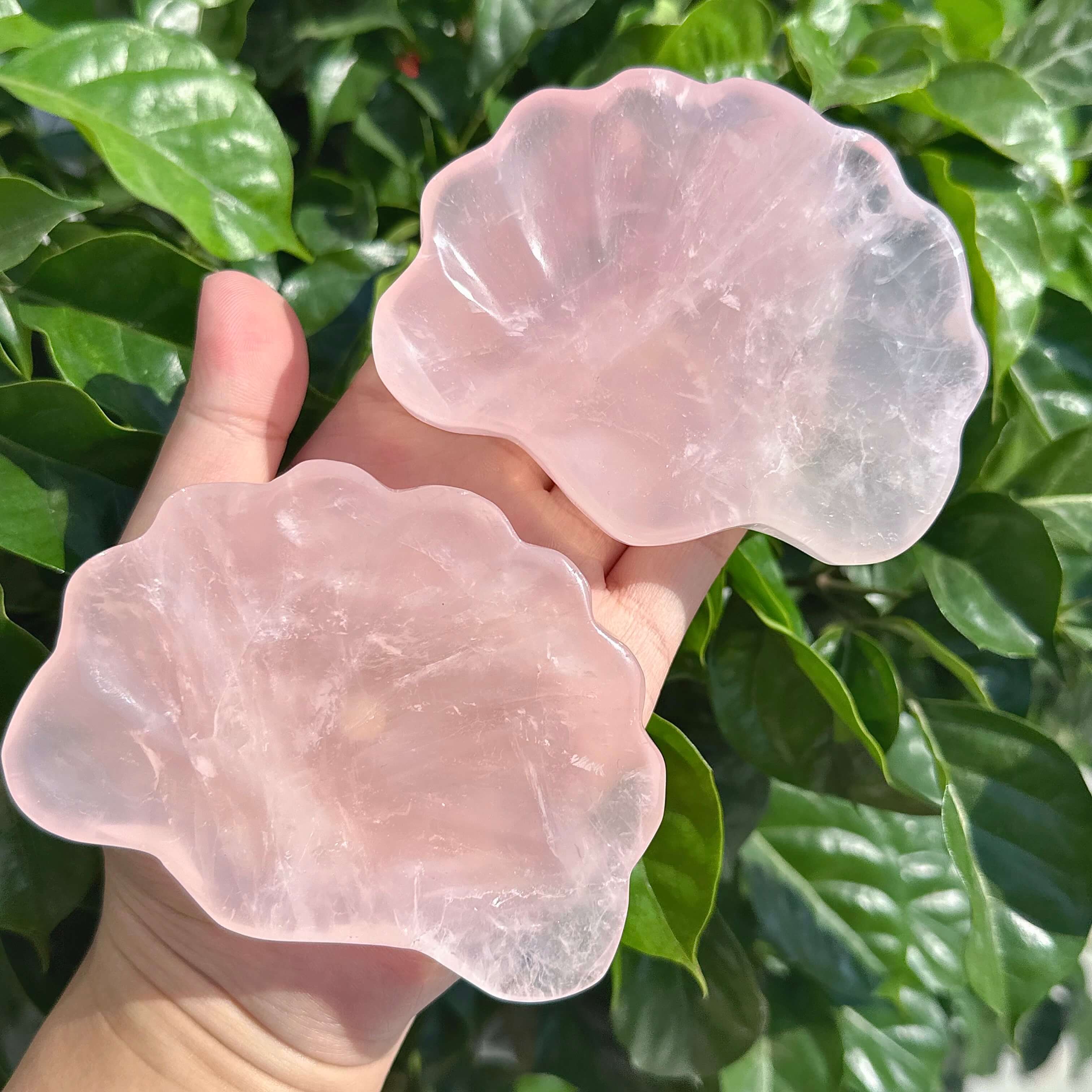 Close-up of Rose Quartz Shell Bowl, displaying the delicate crystal patterns and unique design.