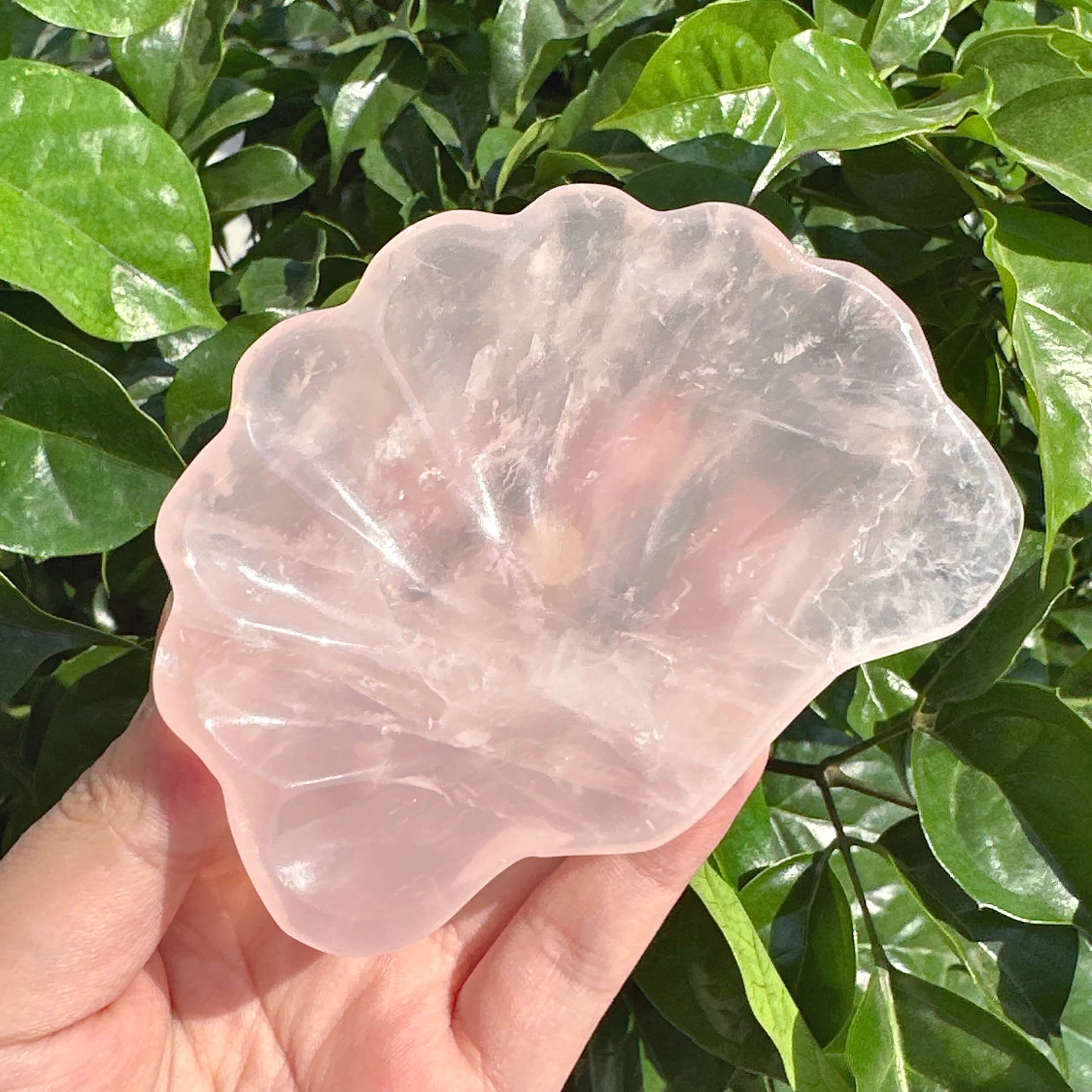 Detailed view of Rose Quartz Shell Bowl, emphasizing the smooth surface and soothing pink crystal color.