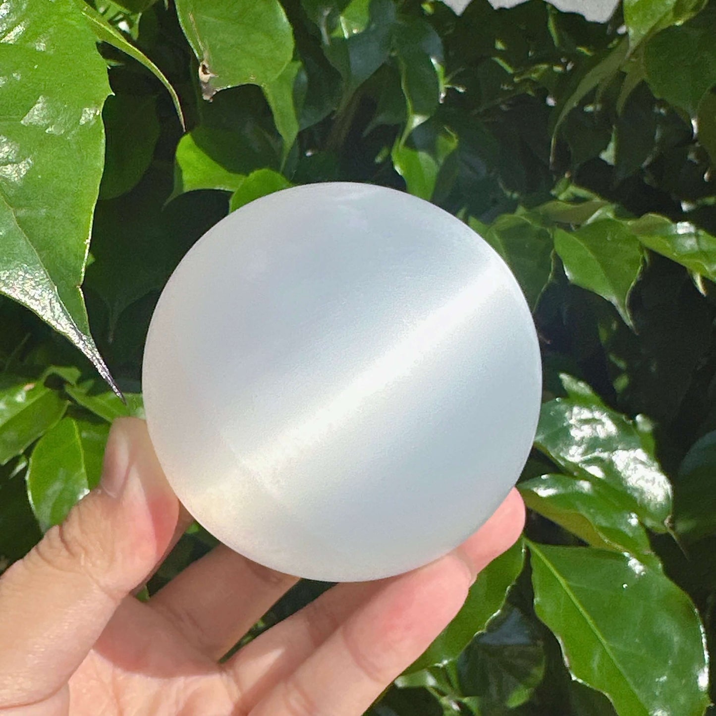 Crystal clear selenite sphere with natural white glow, ideal for energy clearing and spiritual work.