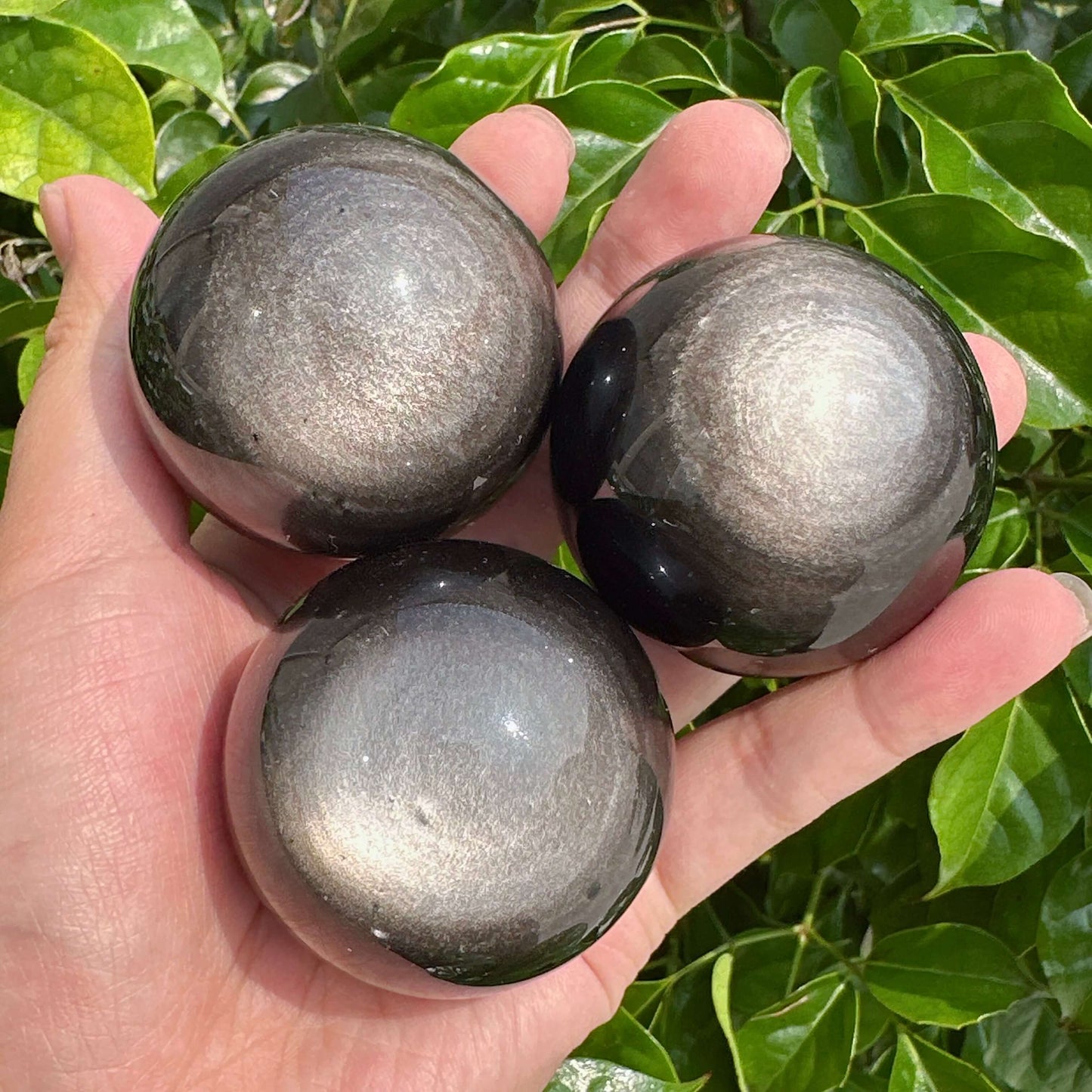 Silver Obsidian sphere with reflective surface, displayed against a vibrant green background.