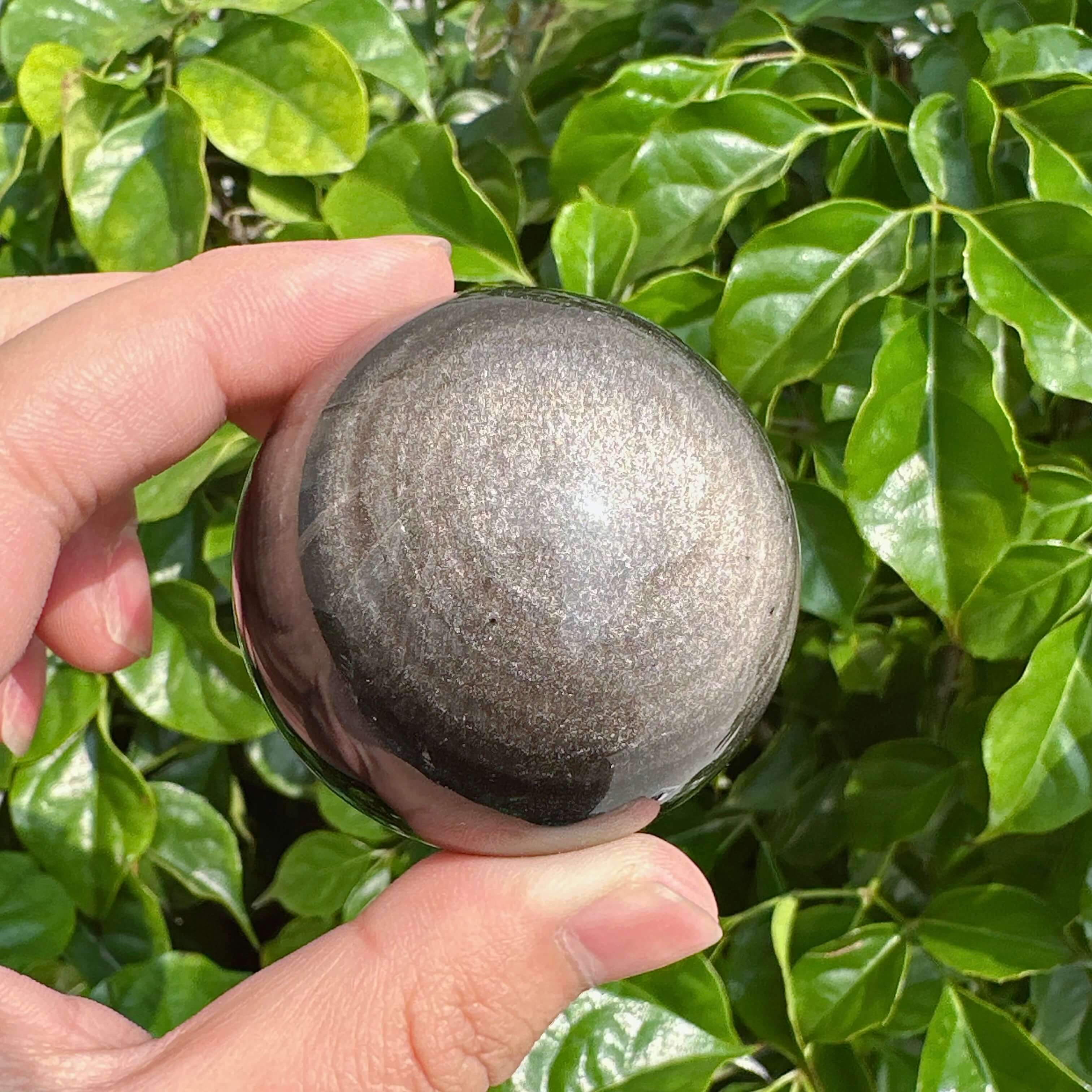 Silver Obsidian sphere with a striking metallic sheen, held in hand with lush green backdrop.
