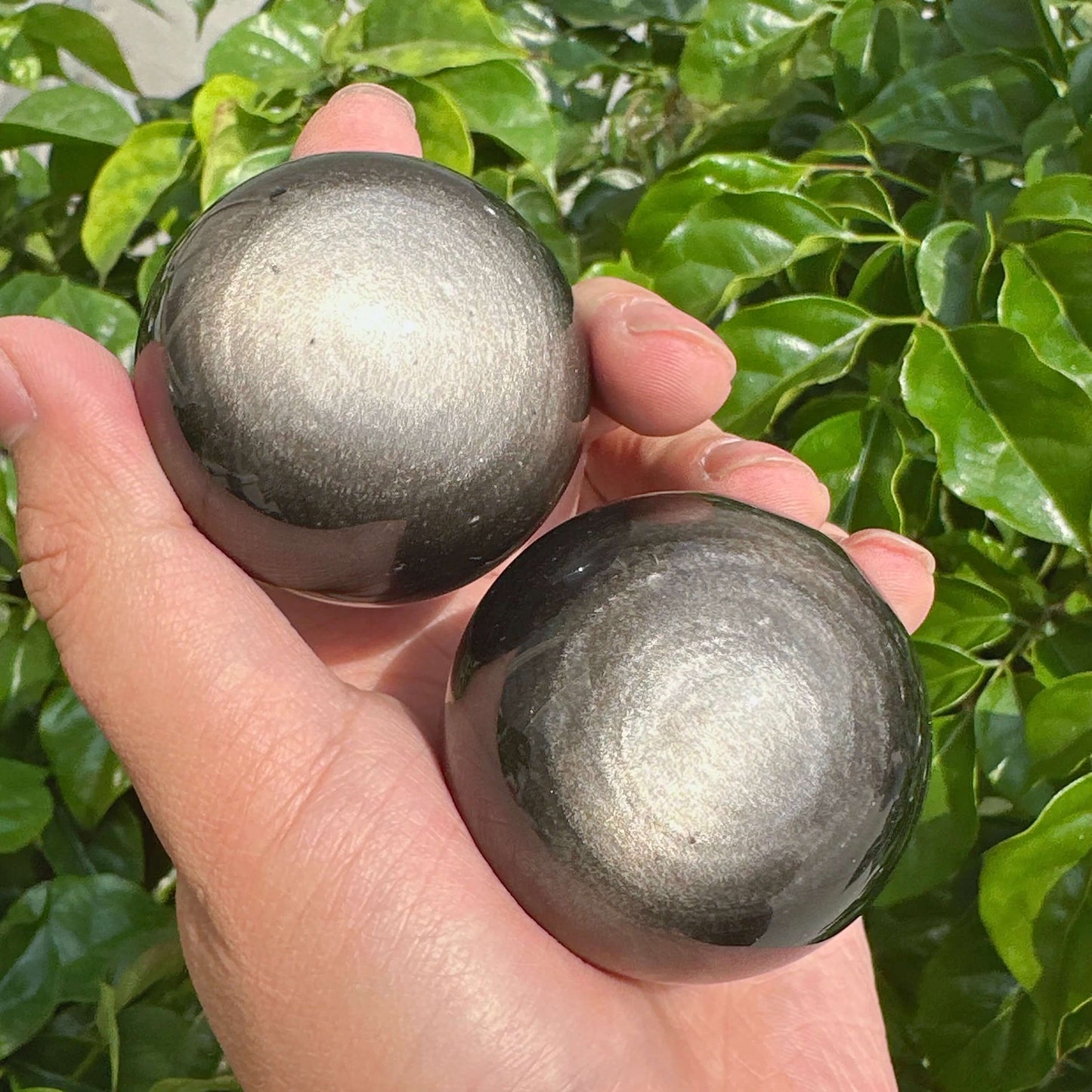 Reflective Silver Obsidian spheres in a hand, showcasing their smooth, glossy surface.