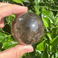 A collection of Smoky Quartz Spheres, perfect for enhancing home decor with healing and protective properties.