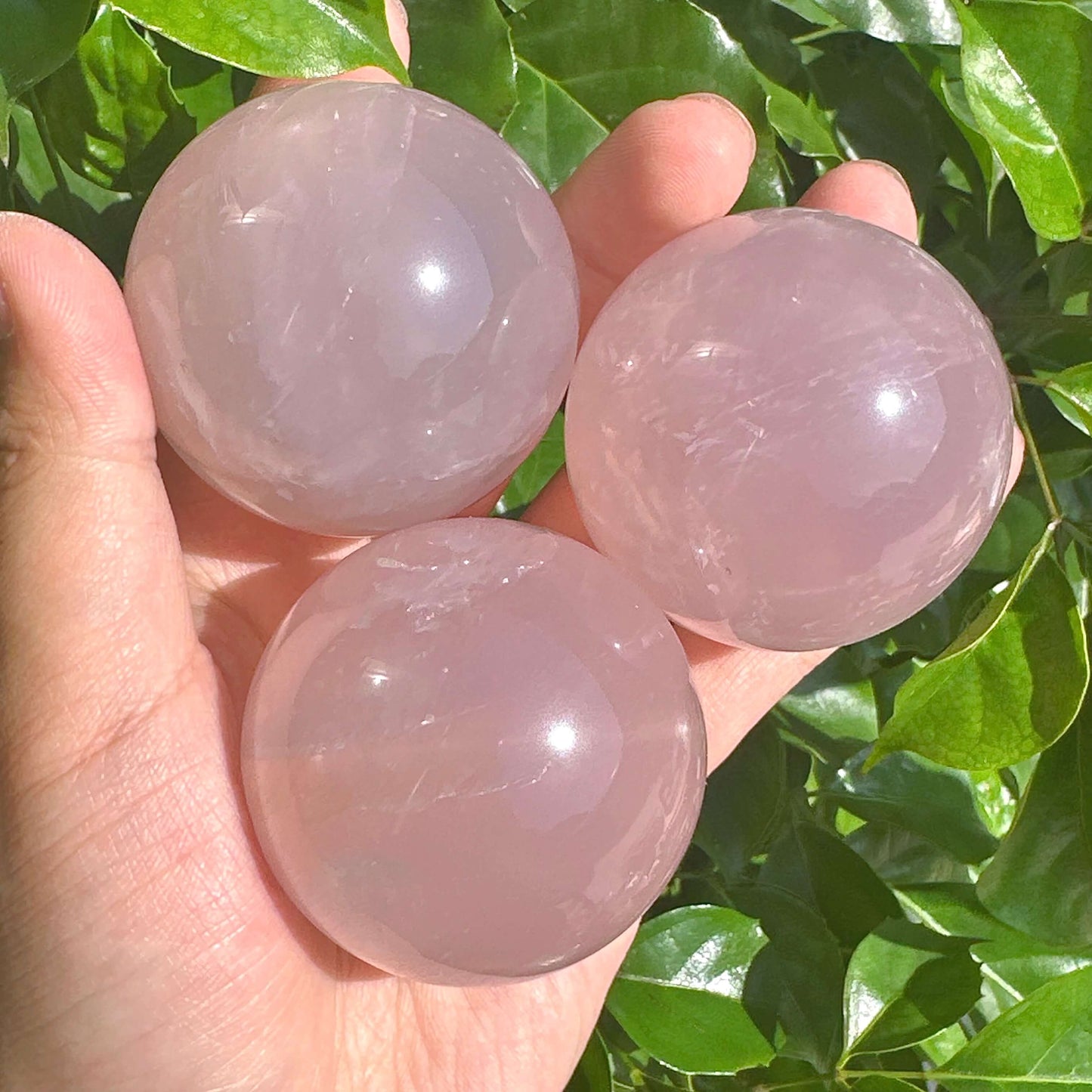 Star Rose Quartz Sphere with a natural star-shaped reflection, showcasing its soft pink color and smooth surface.