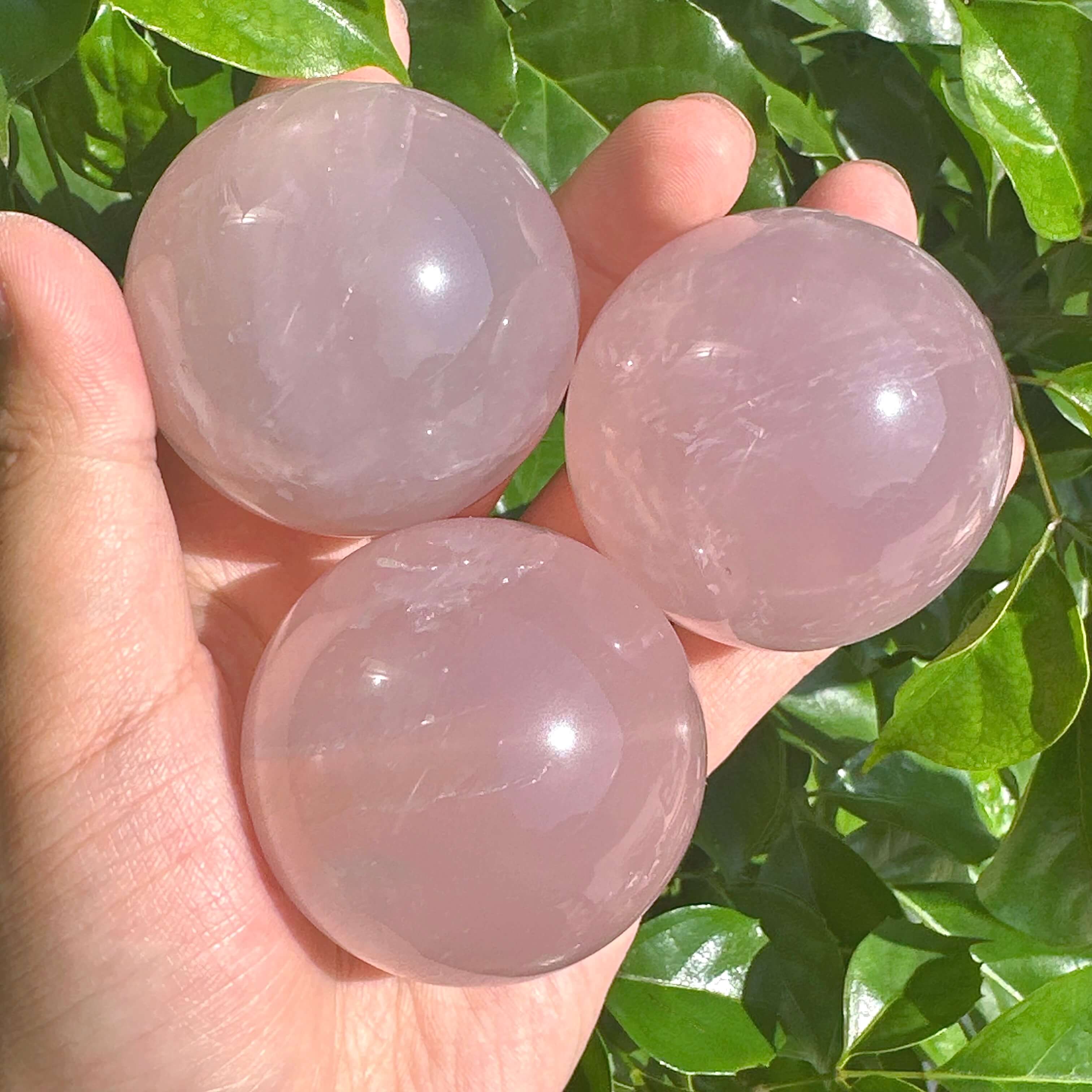 Star Rose Quartz Sphere with a natural star-shaped reflection, showcasing its soft pink color and smooth surface.