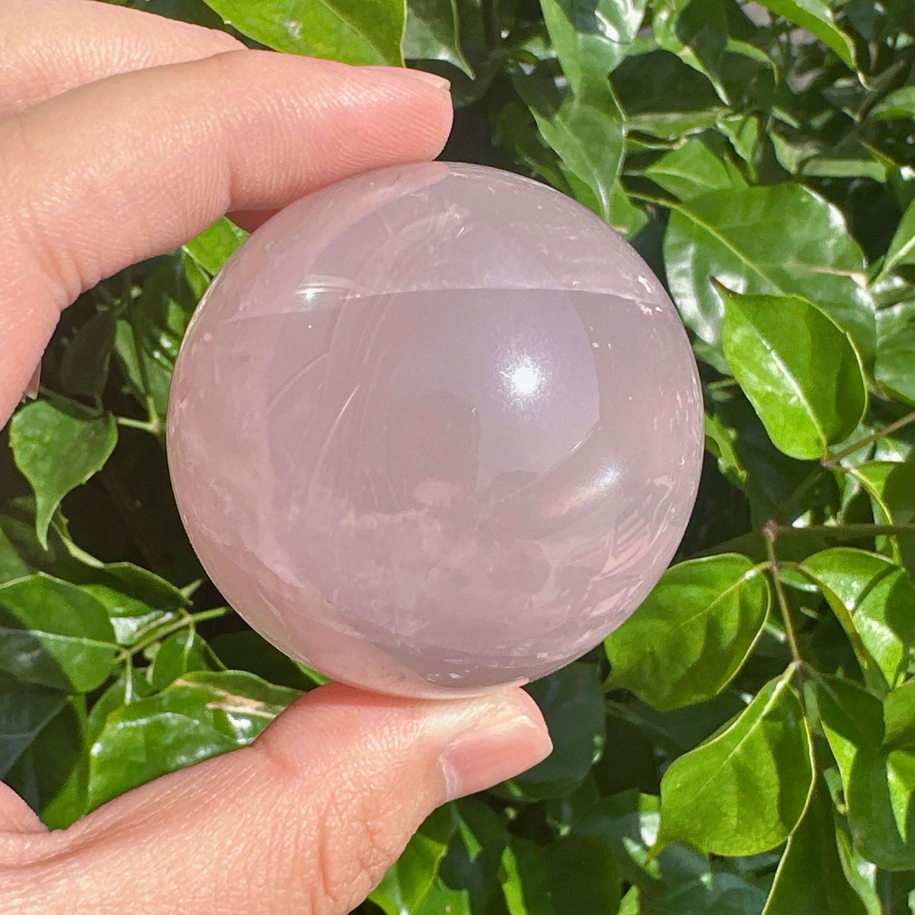 Star Rose Quartz Sphere showing the perfect round shape and the soft pink color, ideal for home decor and spiritual healing.