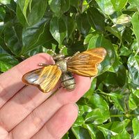 Close-up of a Tiger Eye Bee with yellow and brown striped wings.
