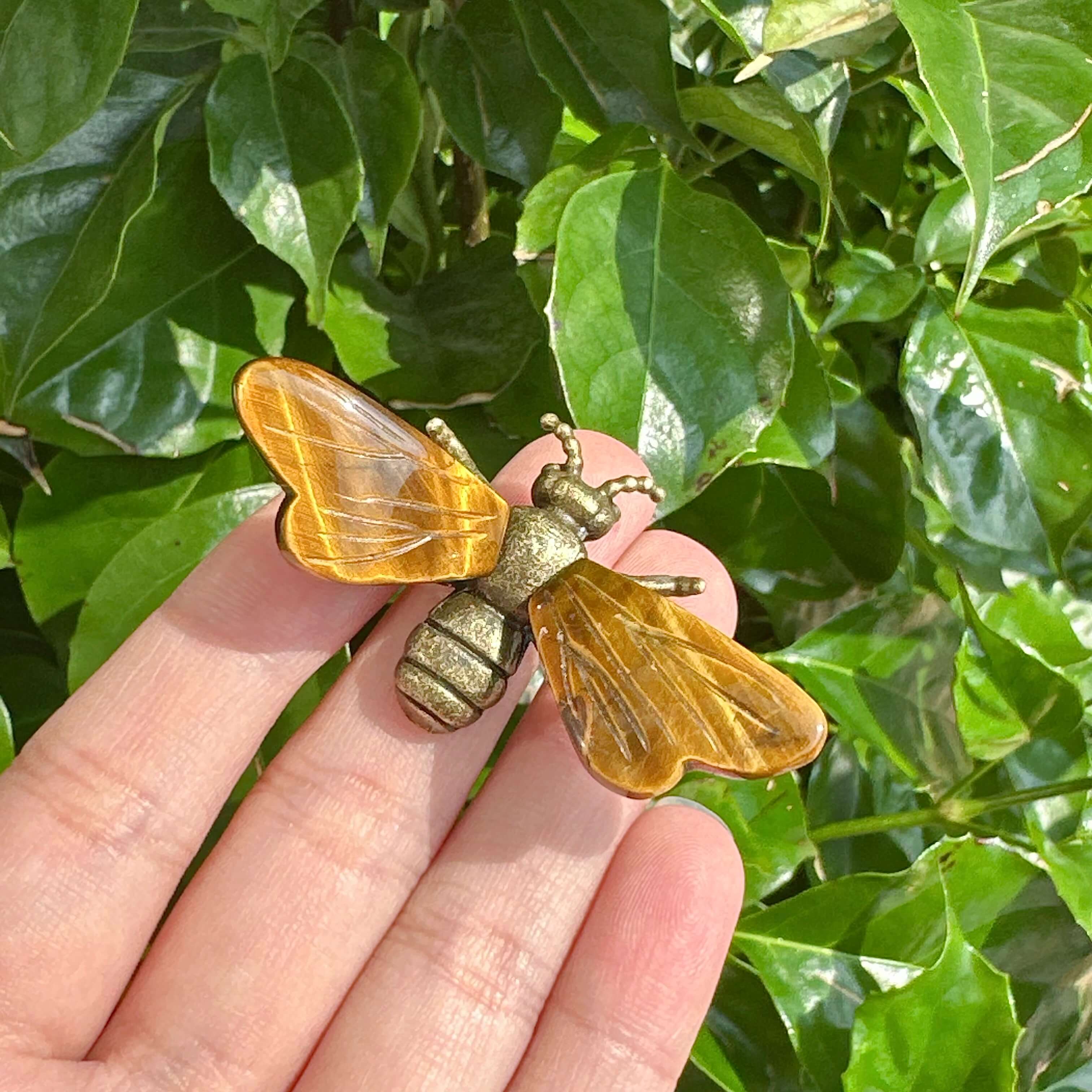 Unique Tiger Eye Bee showcasing polished tiger eye wings