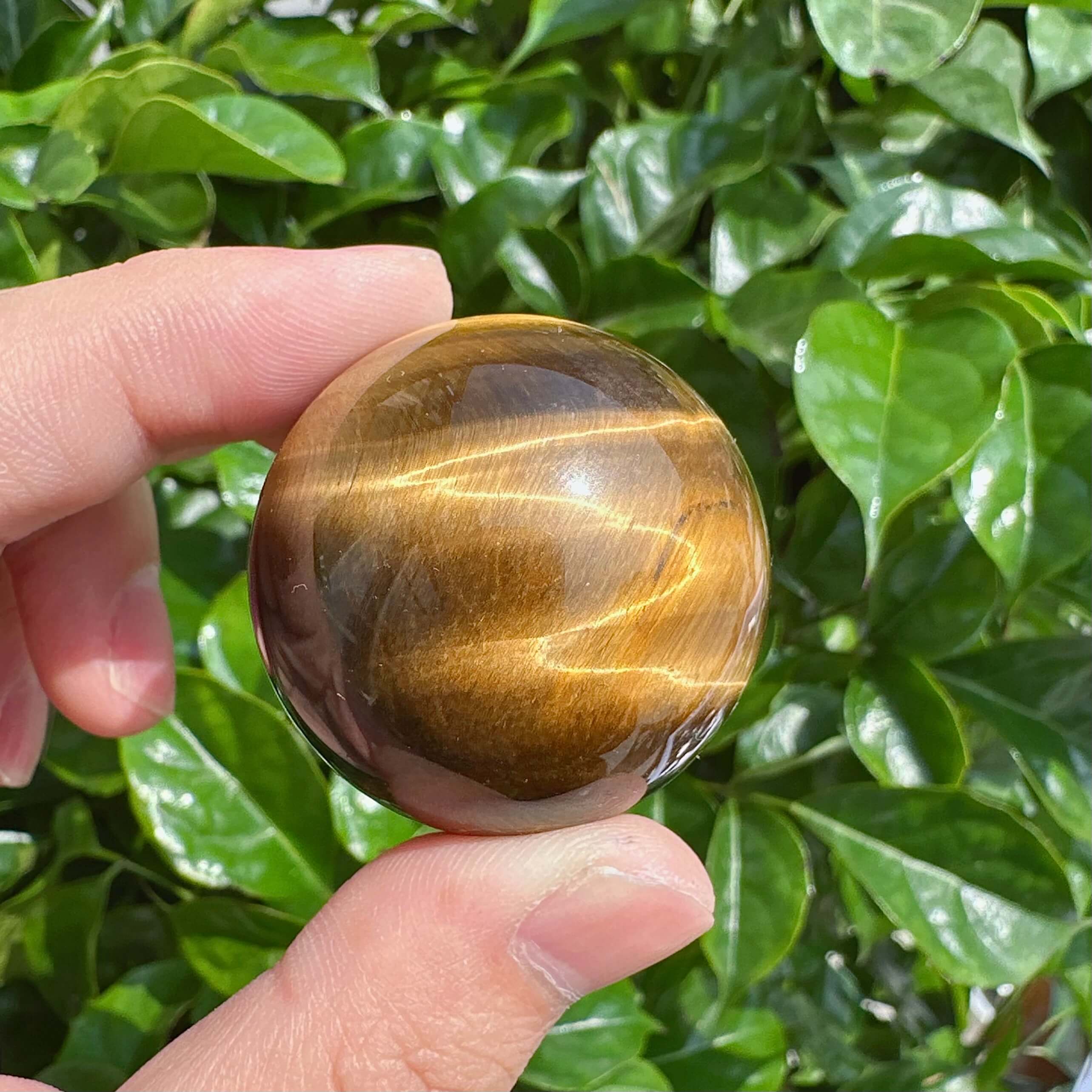 Close-up of a polished Tiger Eye sphere showcasing golden stripes.