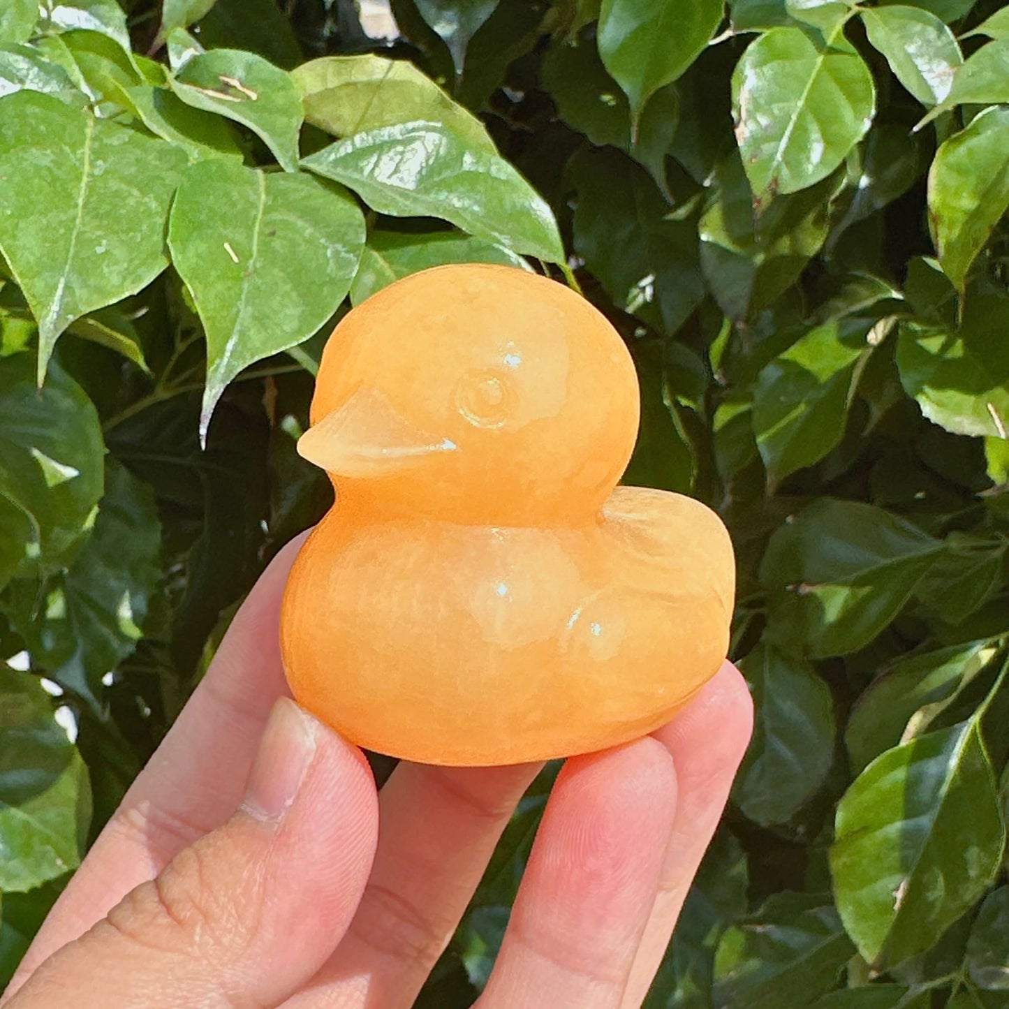 Yellow Calcite Duck Carvings on a wooden surface with a bright background of leaves.