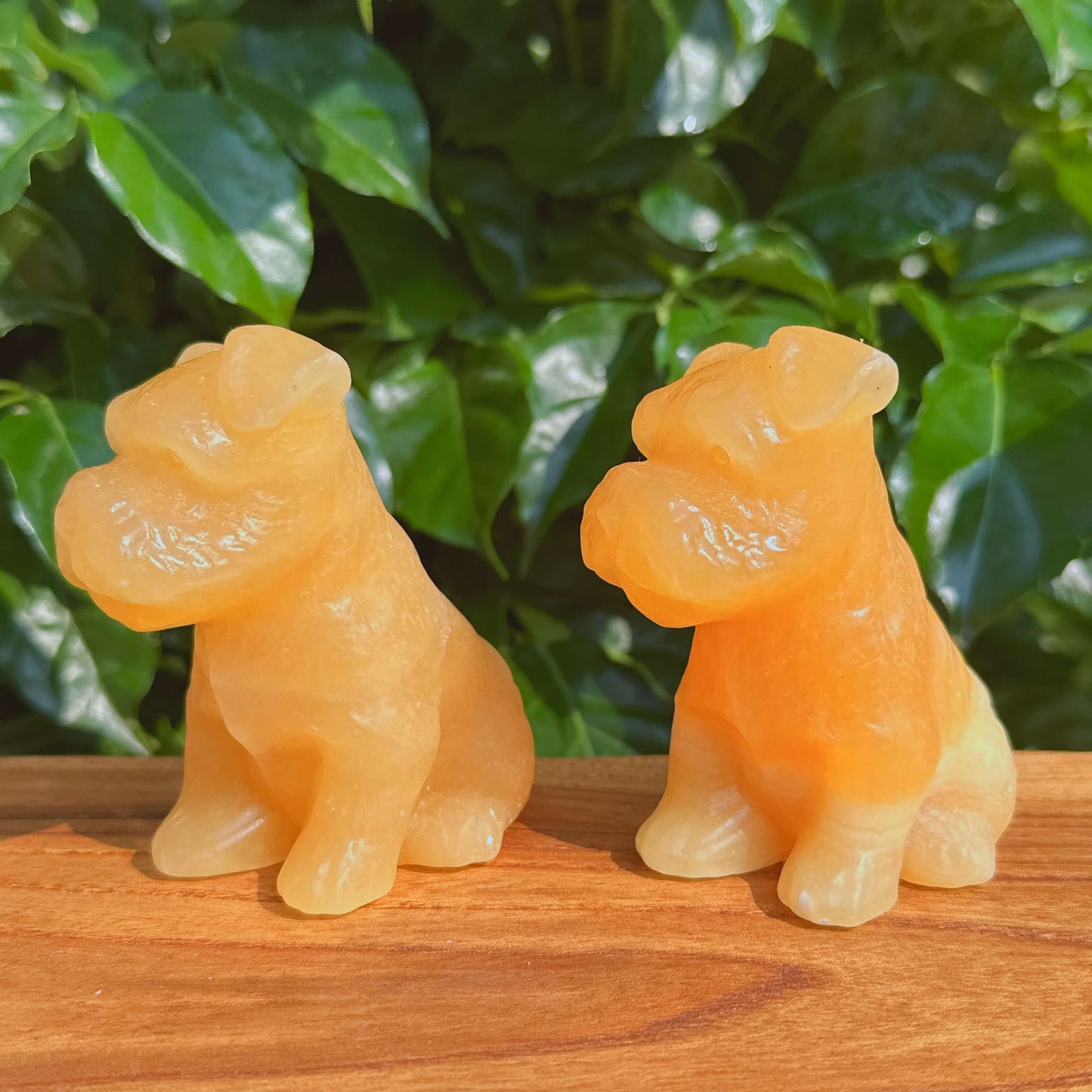 Angled view of Yellow Calcite Schnauzer Dog Carving, emphasizing its detailed shape.