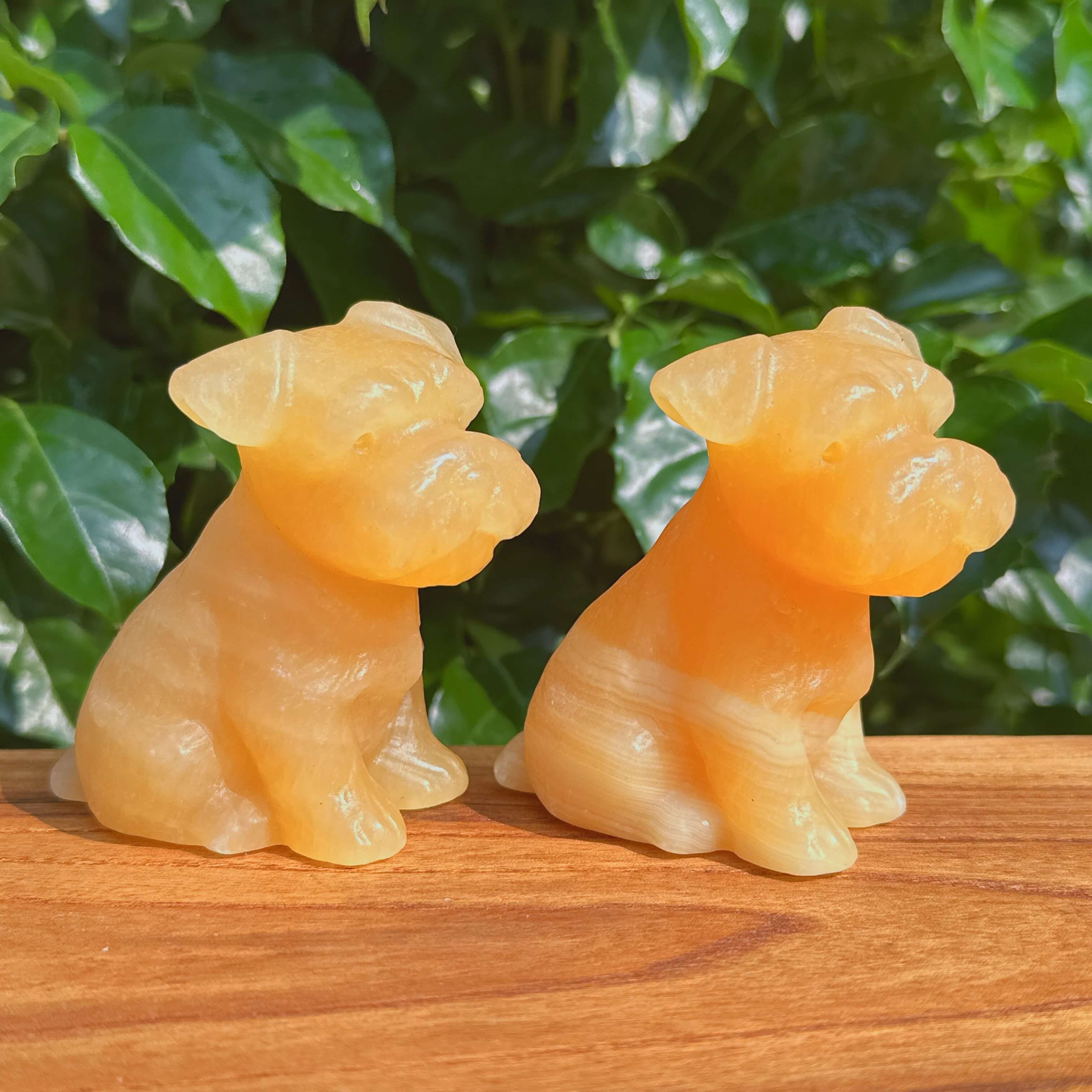 Close-up of Yellow Calcite Schnauzer Dog Carving, highlighting the natural color and texture.