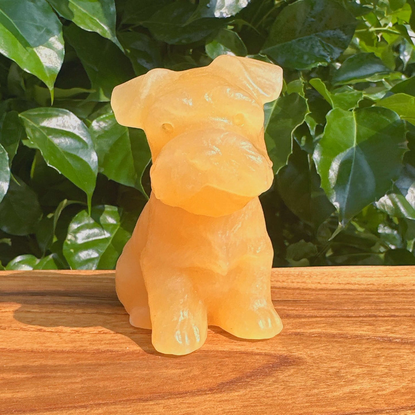 Detailed view of Yellow Calcite Schnauzer Dog Carving, showing crystal texture and intricate design.