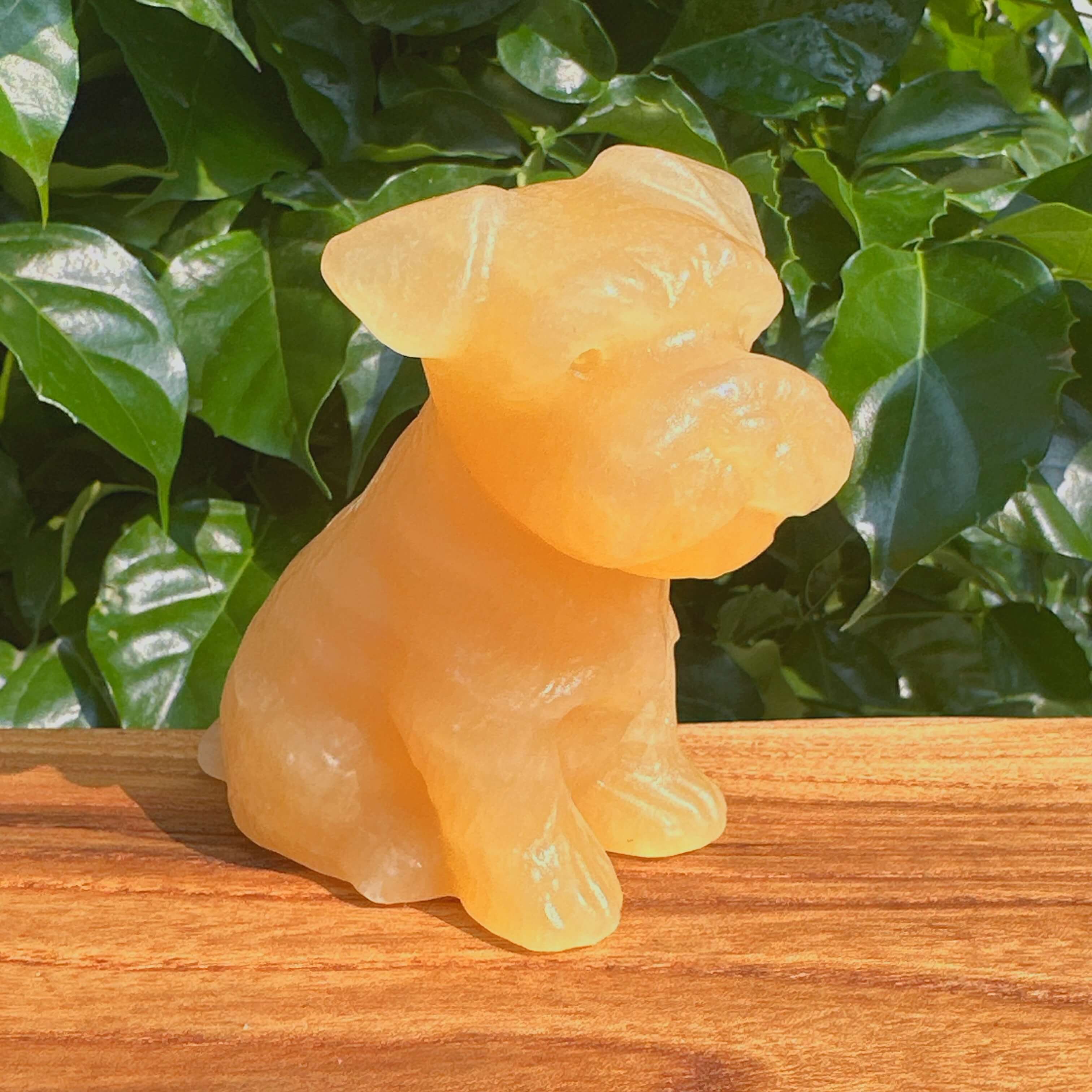 Yellow Calcite Schnauzer Dog Carving front view, showing smooth, polished crystal sculpture.