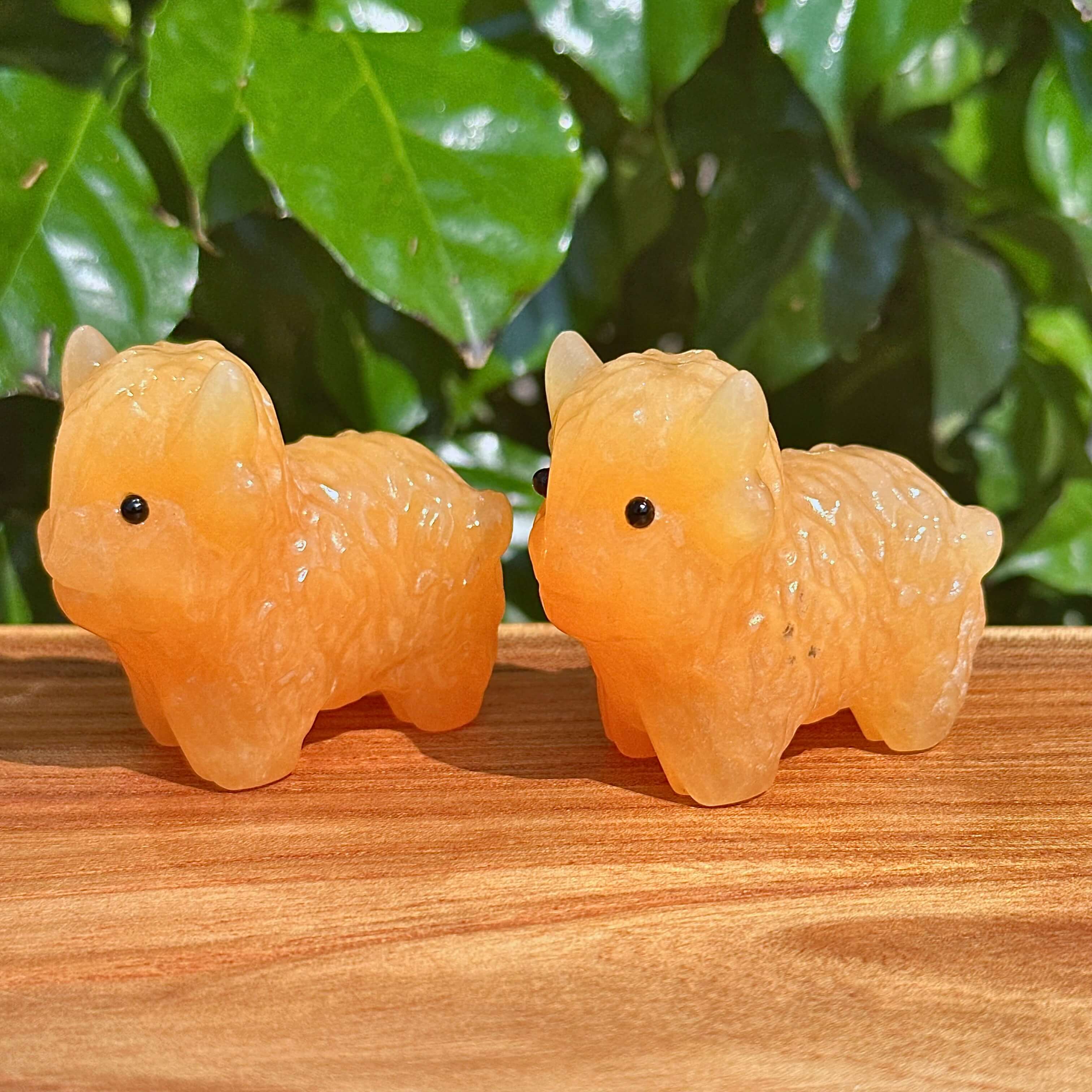 Yellow Calcite Highland Cattle Carving – Group shot displaying multiple pieces of the Yellow Calcite Highland Cattle sculptures.